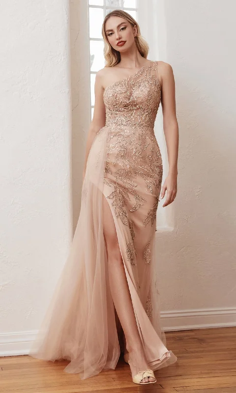 Ladivine Long Formal Dress CB098